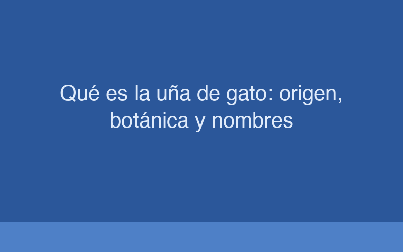 inline_1